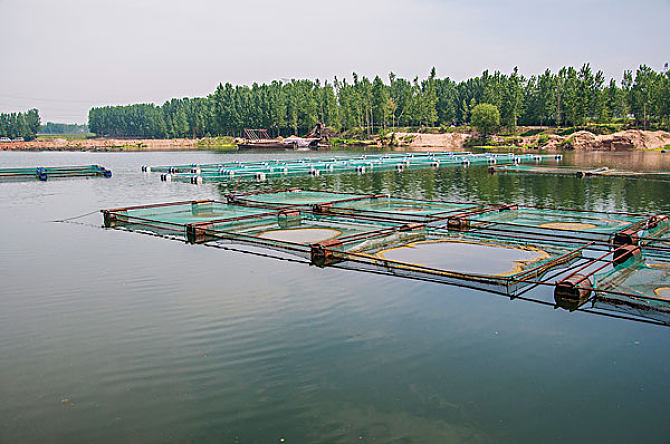 漁業養殖水質檢測